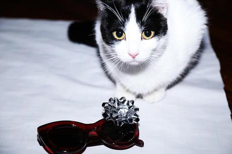 CHRISTMAS TIME TO DRESS UP