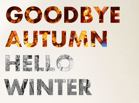 GOODBYE AUTUMN, HELLO WINTER