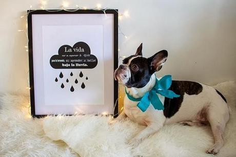 Boho Decho Shop