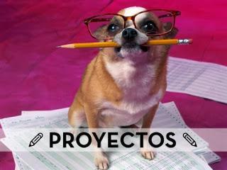 http://fromisiblog.articulo19.com/?p=12126
