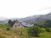 Lizara: tocando cielo