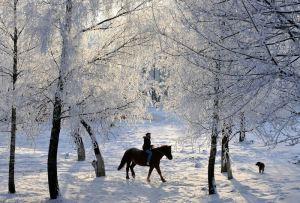 Beauty-of-Winter-08