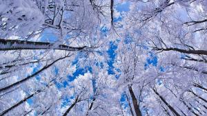 winter-sky-freedesktopwallpapersite-com