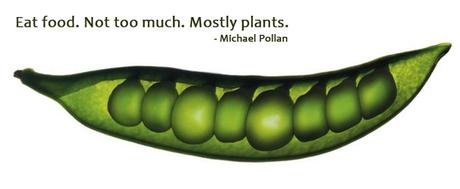 Comer bien michael pollen