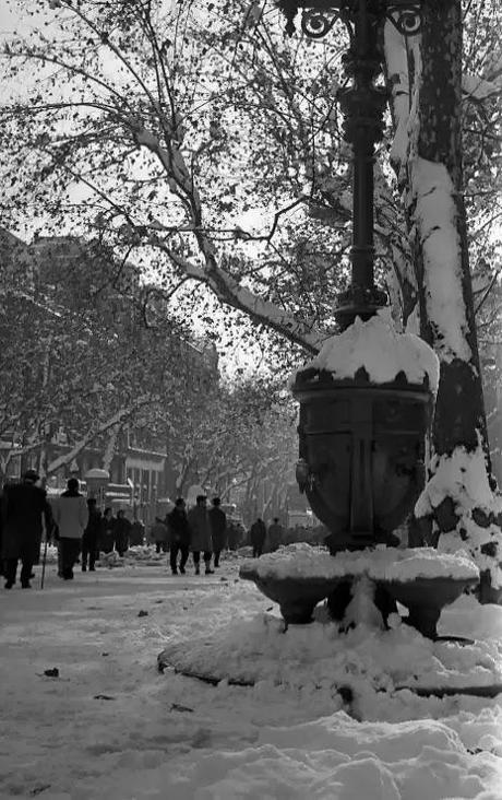 LA NEVADA DEL 1962, EN BARCELONA...22-12-2013...