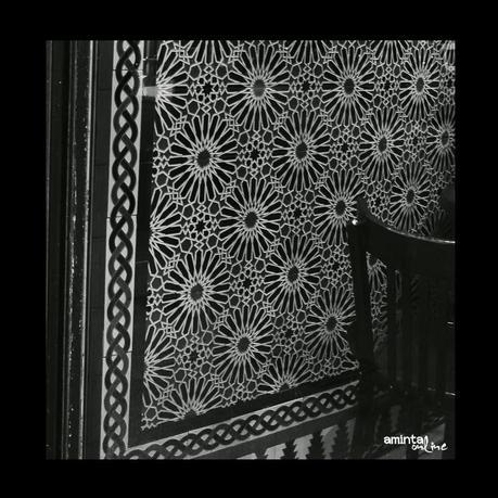 Images of the week with Nikon1 mosaic_nikon1clic