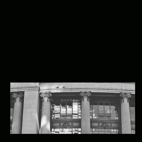 Images of the week with Nikon1 birds_nikon1clic