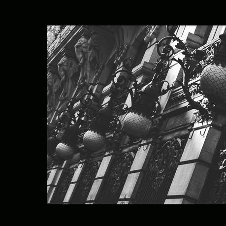 Images of the week with Nikon1 nikon1clic