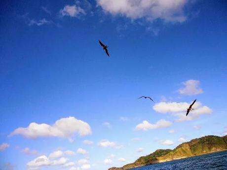 ¡Mi primer viaje en bote por playa Gigante! Diciembre 2013