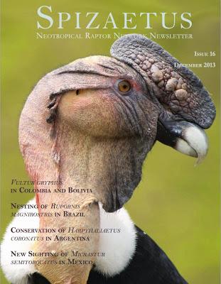 VIAJE A LAS RAPACES en el Boletín de la Neotropical Raptor Network