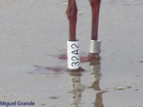 HONDARRIBIA Y LA DELAWARE