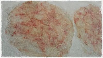 Menú de Fiesta Pre-fiesta