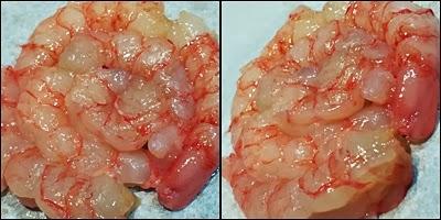 Menú de Fiesta Pre-fiesta