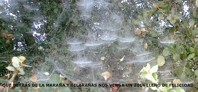 EL INVIERNO, QUE SE DEJA SENTIR,Y EL 2014 QUE SE ACERCAMa...