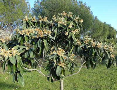 EL INVIERNO, QUE SE DEJA SENTIR,Y EL 2014 QUE SE ACERCAMa...