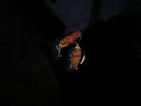 “Buffalo Wings” caseras. (Alitas de pollo en salsa barbacoa)