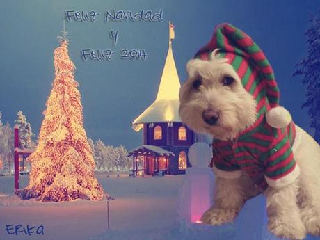 Feliz Navidad y Feliz 2014