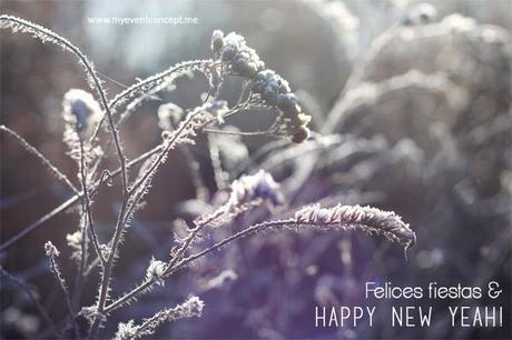 Felices fiestas, un regalín y Happy New Yeah! FelicesFiestas copiaVF
