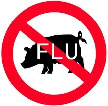 gripe-A-porcina