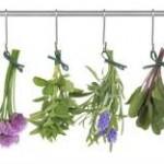 flores medicinales secando para ser utilizadas