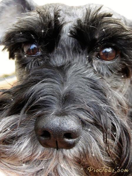 TANA con nombre propio