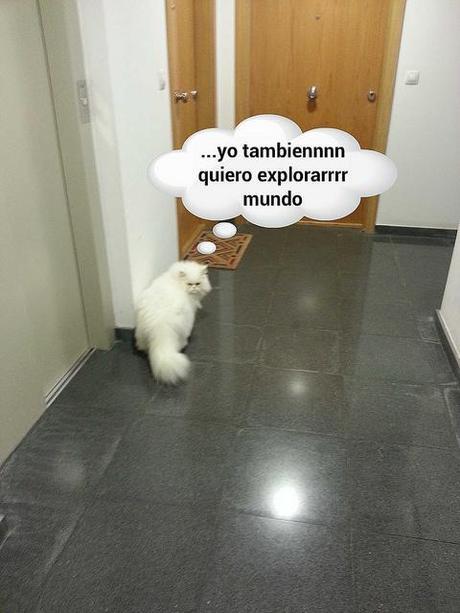 Estamos tan Agustito XXII. Yo tambien quiero explorarrrr estamos tan agustito