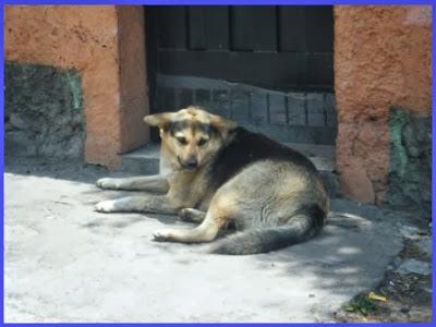 Segundo reto navideño