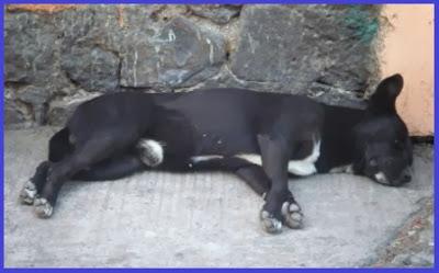 Segundo reto navideño