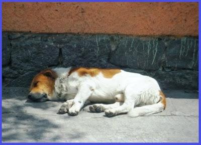 Segundo reto navideño