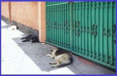 Segundo reto navideño