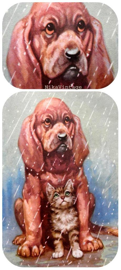 Perros Vintage + Un Mensaje Importante