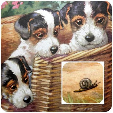 Perros Vintage + Un Mensaje Importante