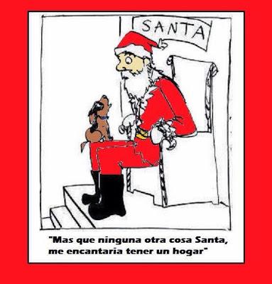 Una petición a Papá Noel