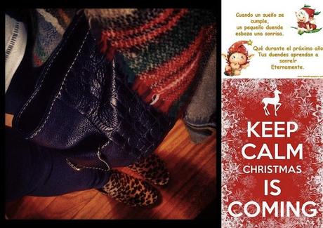 snapshots of week 15