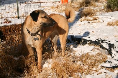 El poder de observación