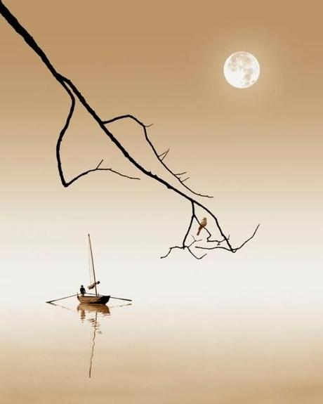 Ho Fan: Fotógrafo, actor y director retirado