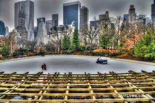Fotografía de invierno, Central Park, New York
