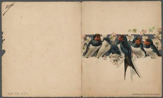 Mi felicitacion, tu felicitacion ( 2 min.)