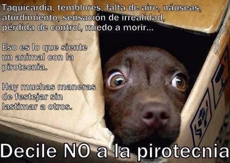 No a la pirotecnia con estruendo No a la pirotecnia con estruendo