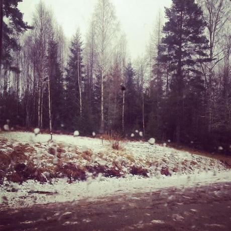 Blanca Navidad Sueca