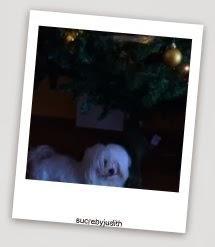 MERRY CHRISTMAS INSTAGRAM