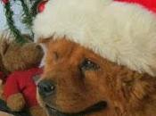 "Gracias...Feliz Navidad"