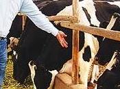 Según Huaura: FISCALIZADOR JAVIER ALVARADO SIGUE JUGANDO SUCIO AGRICULTORES NORTE CHICO…