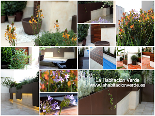 Celebrando los jardines del 2013