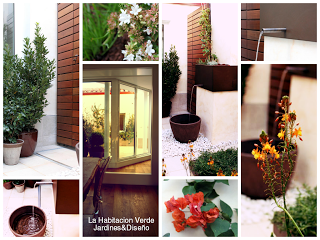 Celebrando los jardines del 2013