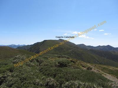 Ascensión al Cogollu Cebolleo (2.089 m.), Tresa (1.887 m.), Cabril (1.923 m) y Cogollu (1.971 m.)