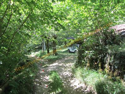 Ascensión al Cogollo (1.224 m)