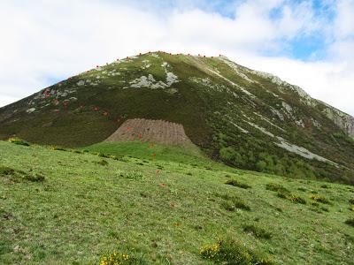 Ascensión al pico Caniechas (1.921 m.)