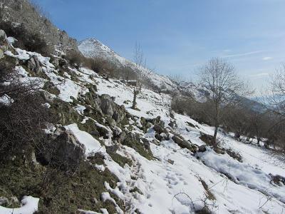 Ascensión al Pico Liño (1.177 m.)