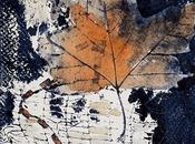 Investigando monotipos